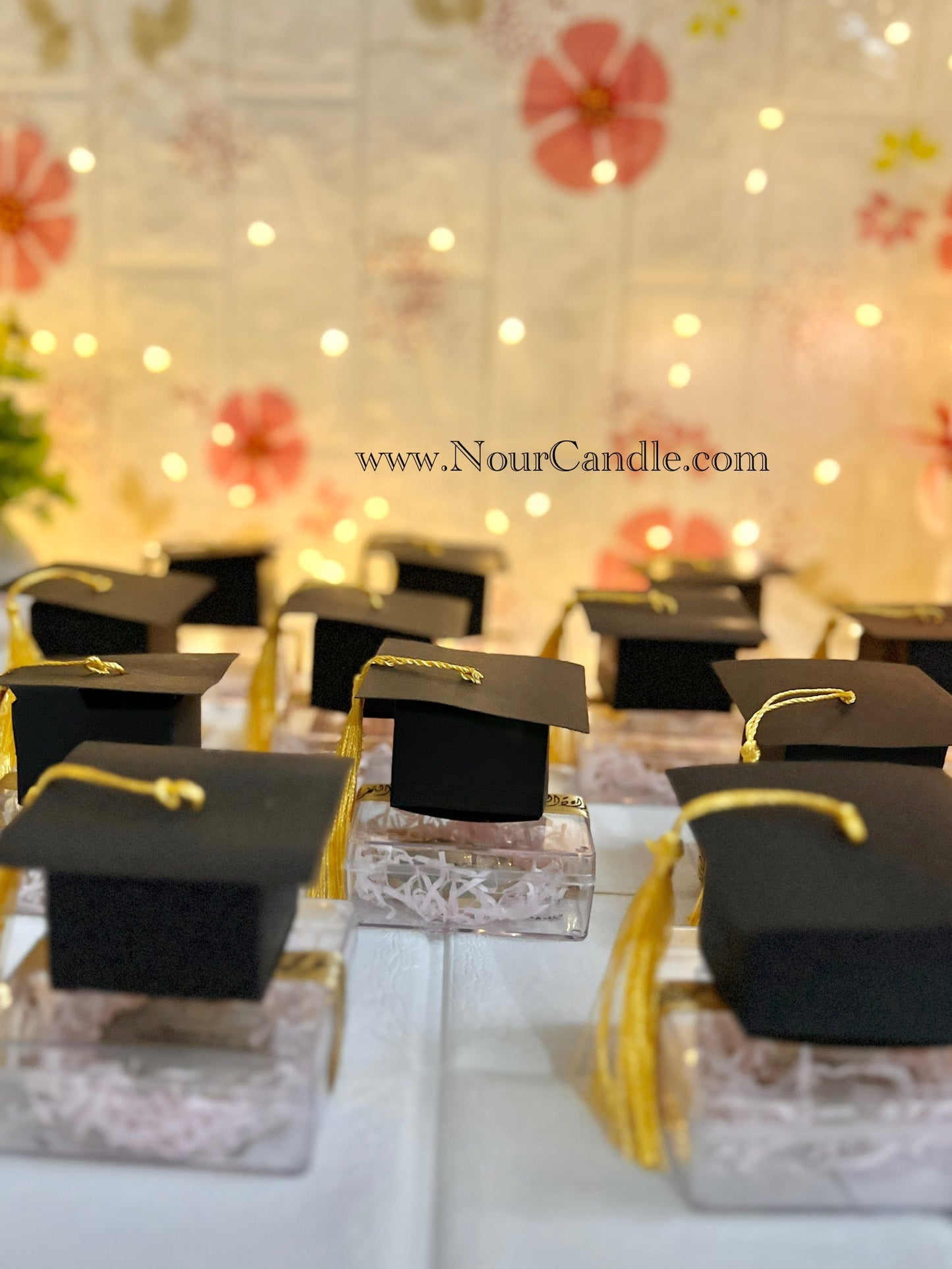 ميدالية ريزن المحارة