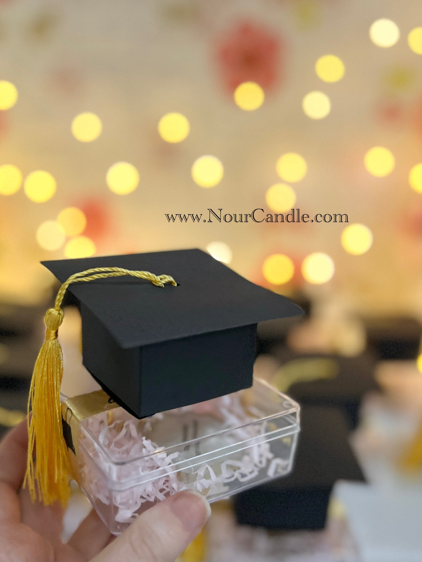 ميدالية ريزن المحارة
